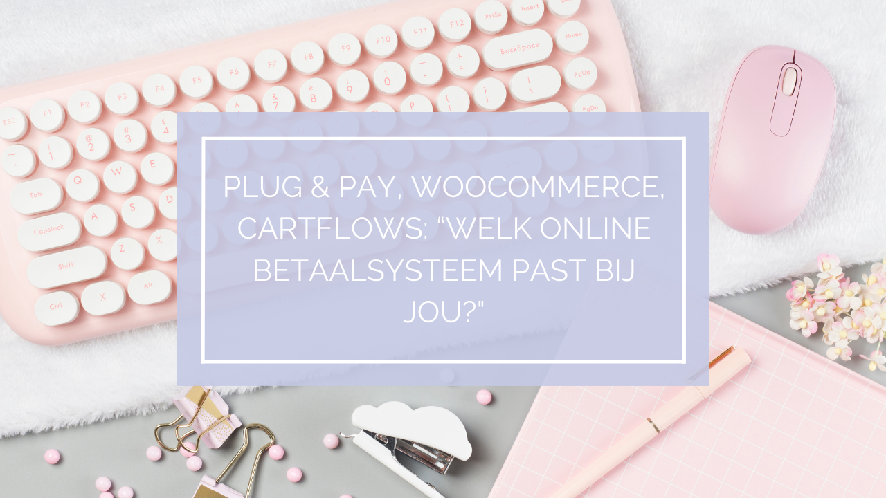 Lees meer over het artikel Plug & Pay, WooCommerce, CartFlows: “Welk online betaalsysteem past bij jou?”